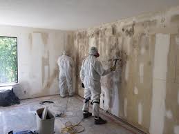 Best Emergency Mold Remediation in USA